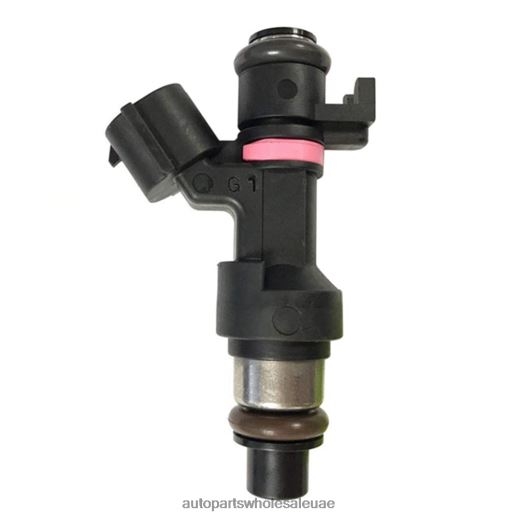 h106845 166006863r arbi845 حقن الوقود 0HDN0B239 قطع غيار السيارات الشارقة RENAULT