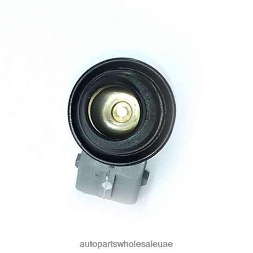 حقن الوقود wp176 0HDN0B385 قطع غيار الدراجات النارية VW SKODA